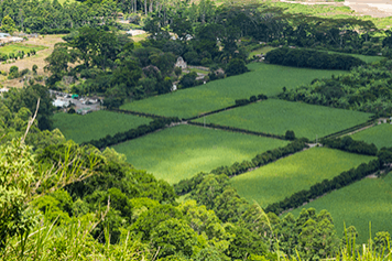 Arquitecto técnico Walter Martín en Las Palmas y Arucas. Tramitación de certificados de eficiencia energética, cédulas de habitabilidad, informes de valoración y otros para tu propiedad. - estudio arquitectura tecnica walter martin - arucas